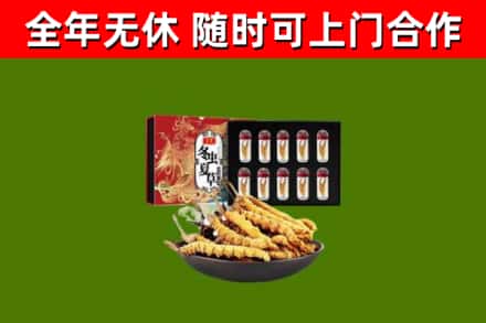 桂阳烟酒回收冬虫夏草礼盒.jpg